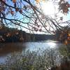 Autumn light and a great view.