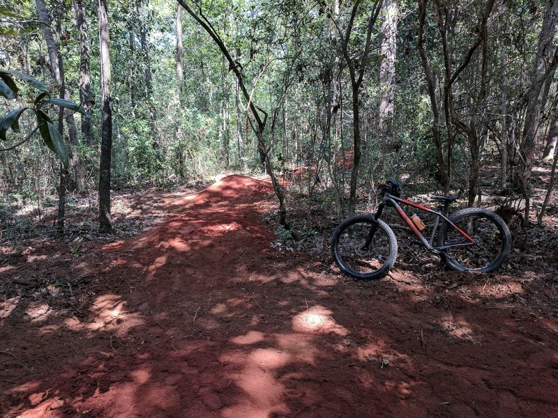 Looking north on new trail