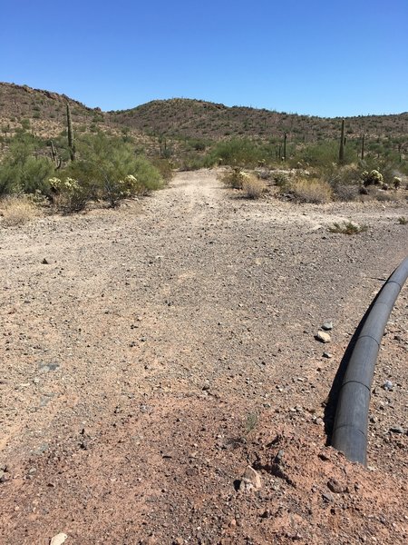 Good path to backtrack back to the trail if you choose to ride around the pipe.