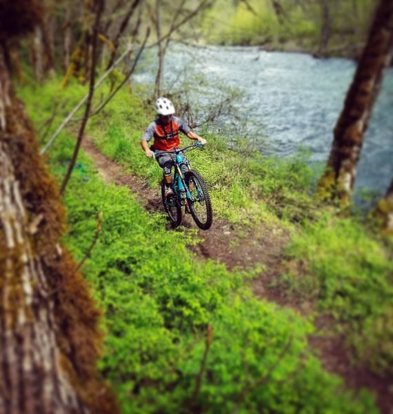 Wheelie along Salmon Creek