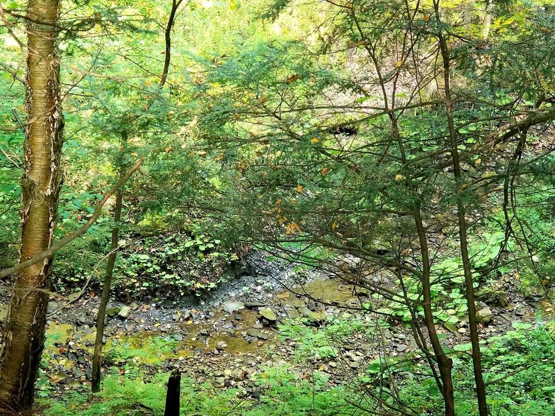 Looking down at the creek.