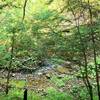 Looking down at the creek.