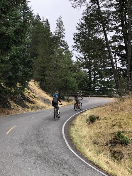 Up the road towards tower of Mt. Constitution