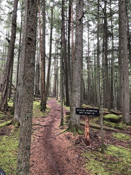 Starting the singletrack up to the summit