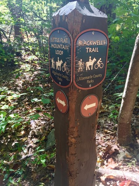 The bears love using trail markers as a scratching post.