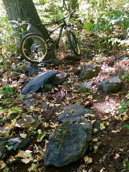 Small piece of a long rocky trail.