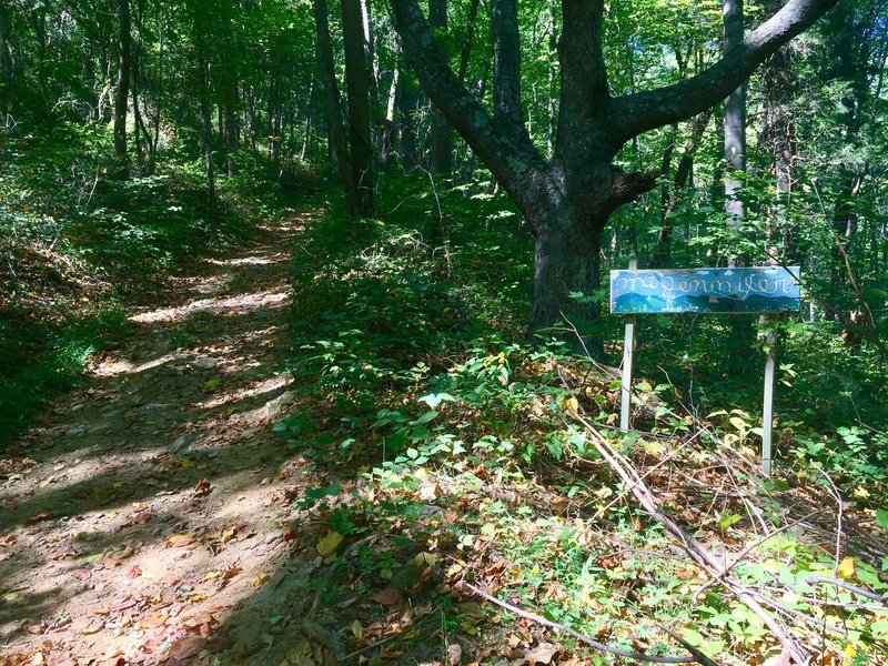 Sign that reads "Mt. Jennifer"