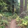 Heading up Bear Creek Trail.