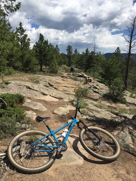 The rock garden on Moose Meadows