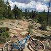 The rock garden on Moose Meadows