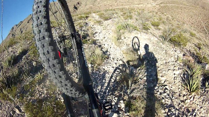 Pushing your bike through on its rear wheel may be the best way to get through overgrown Ocotillos.  Their thorns are brutal and sharp as nails.