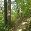 One of the funner sections of trail. Ride along the ridge, just don't fall off the trail.