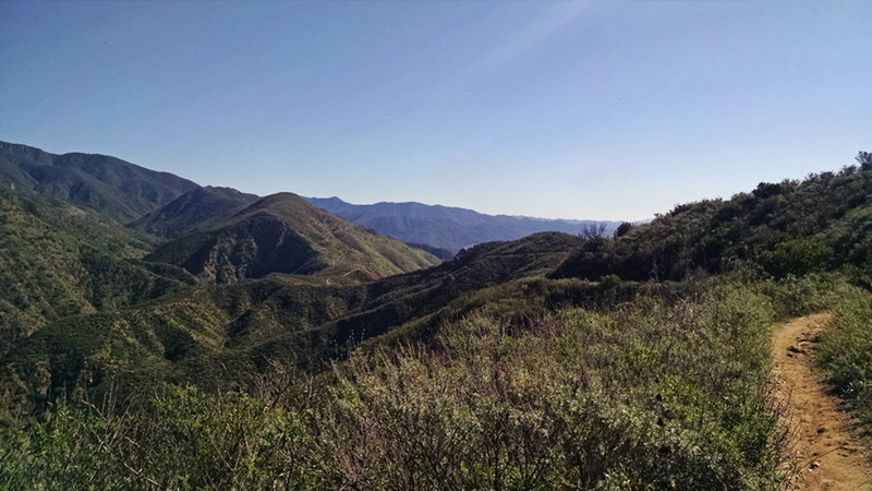 Classic Chaparral Singletrack.