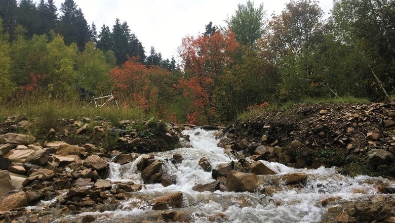 My wife and I stopped by a spring running next to the Big Spring Hollow Trail