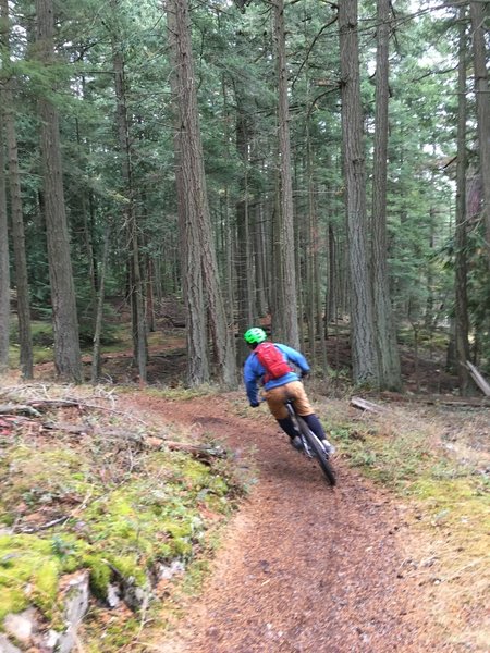 Mountain Lake Trail, opening turn.