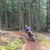 Mountain Lake Trail, opening turn.