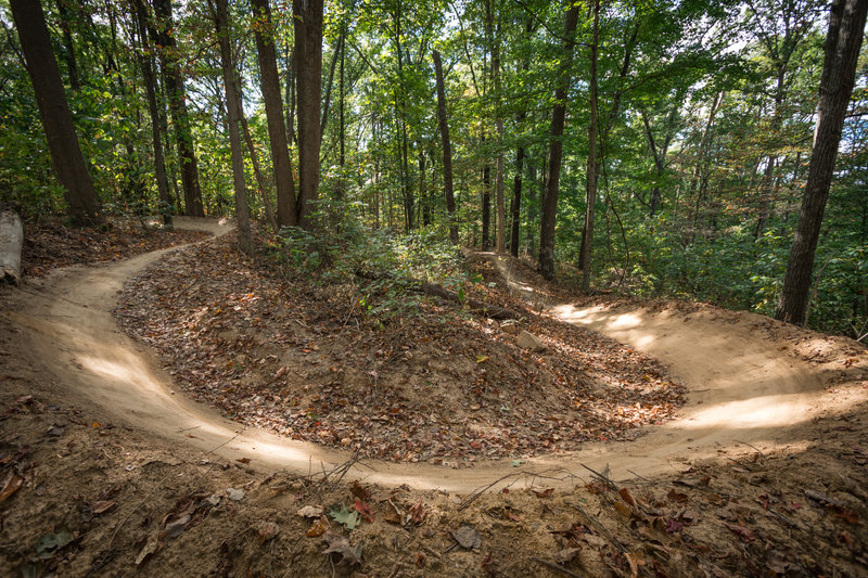 Hobbs Hollow Berms