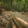 Hobbs Hollow Rock Gap Jump