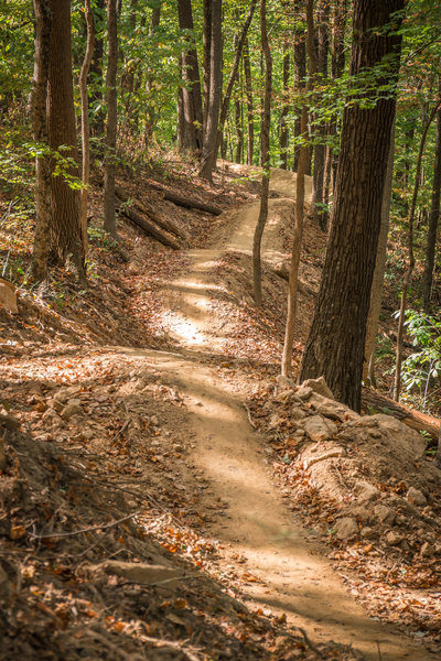 Hobbs Hollow Jump Line