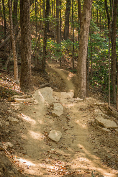 Hobbs Hollow Rock Gap Jump