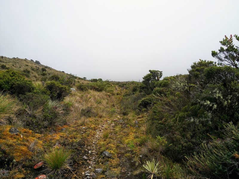 Slippery singletrack