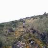 Singletrack through the Moor