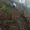 Ashe County Middle School Bike Club Trail Building Day