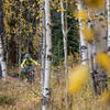 The Jedi Woods section of Doctor Park might be the most fun you can have on two wheels.