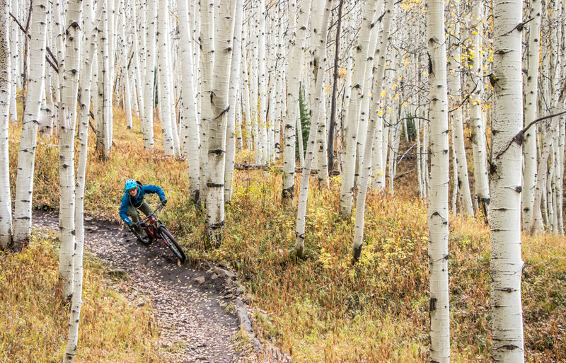 The aspens on Lupine and Gunsight can't be beat.