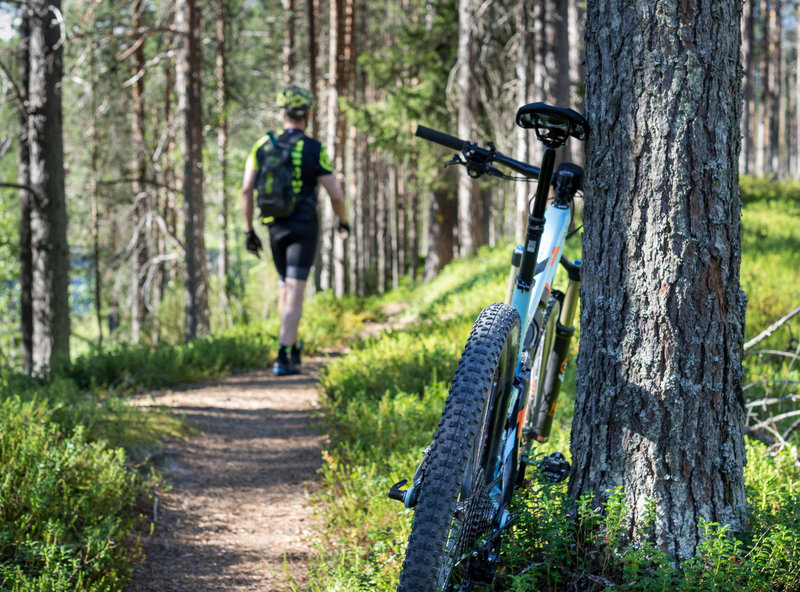 Sininen Saavutus Trail offers a plenty of flowy sections. Photo: Metsähallitus