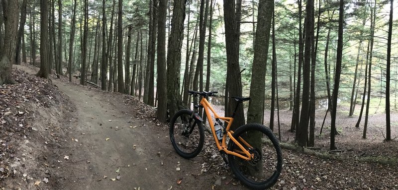 Nice view overlooking Jim Moore Creek at the bottom of Sylvan's Run.