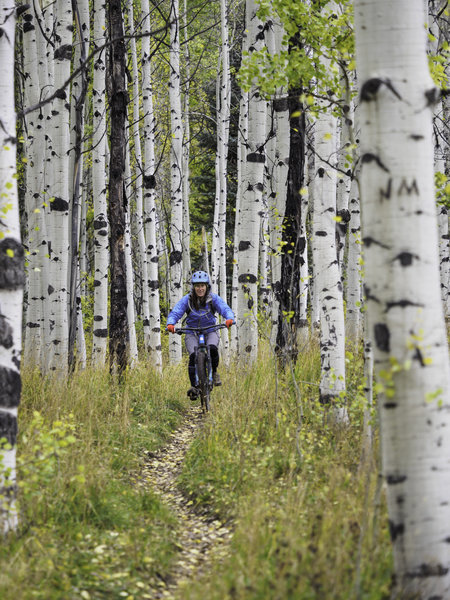 Aspens going off! During a memorable finish through the aspens at the trails end.