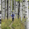 Aspens going off! During a memorable finish through the aspens at the trails end.