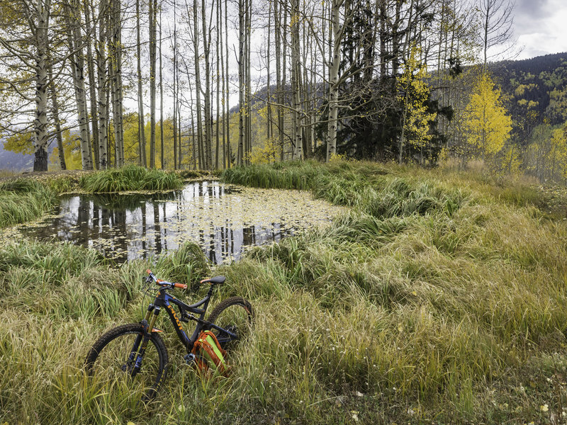 A very scenic pond surrounded by aspen near the end of the trail.