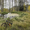 A very scenic pond surrounded by aspen near the end of the trail.