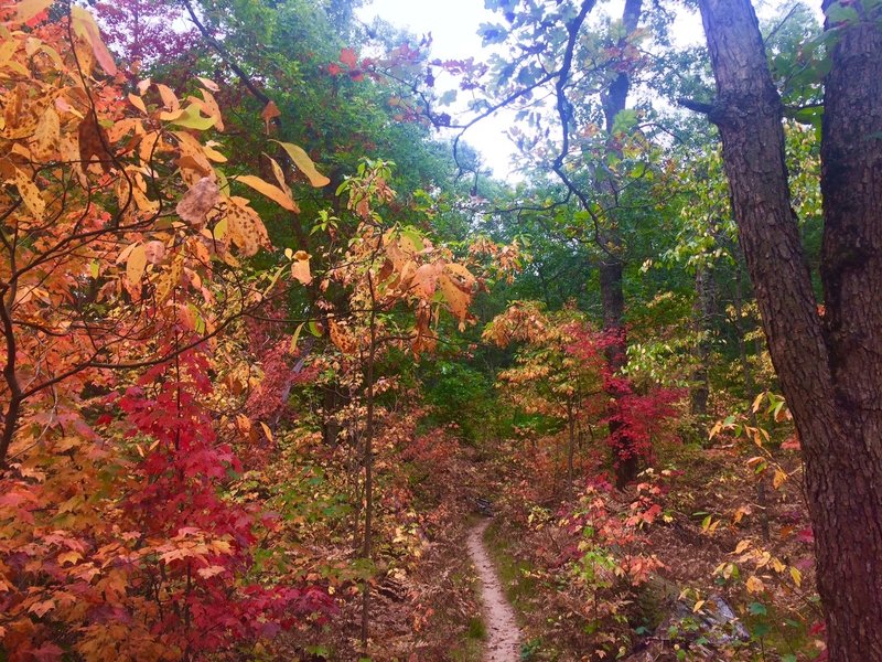 The trail can be enjoyed during all four seasons.