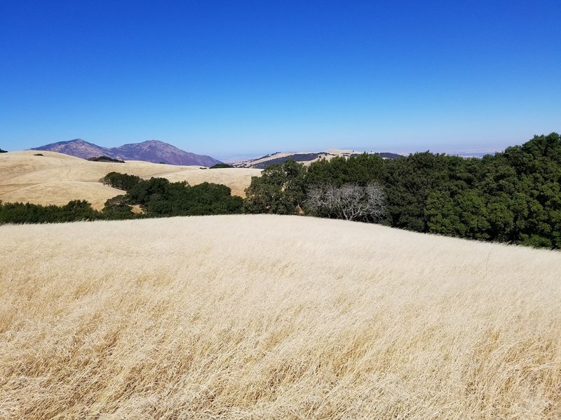 Mount Diablo from Morgan Territory.