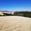 Mount Diablo from Morgan Territory.