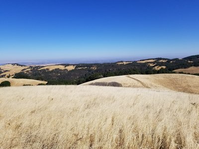 The Delta from Morgan Territory Regional Preserve.