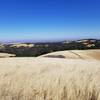 The Delta from Morgan Territory Regional Preserve.