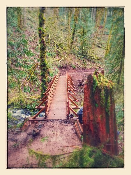 Brand new Link'n'Pin bridge over Genzer Creek on Shoofly - Completed by NW Trail Alliance volunteers May 2017