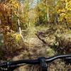 Gorgeous Fall colors on the descent through aspen groves