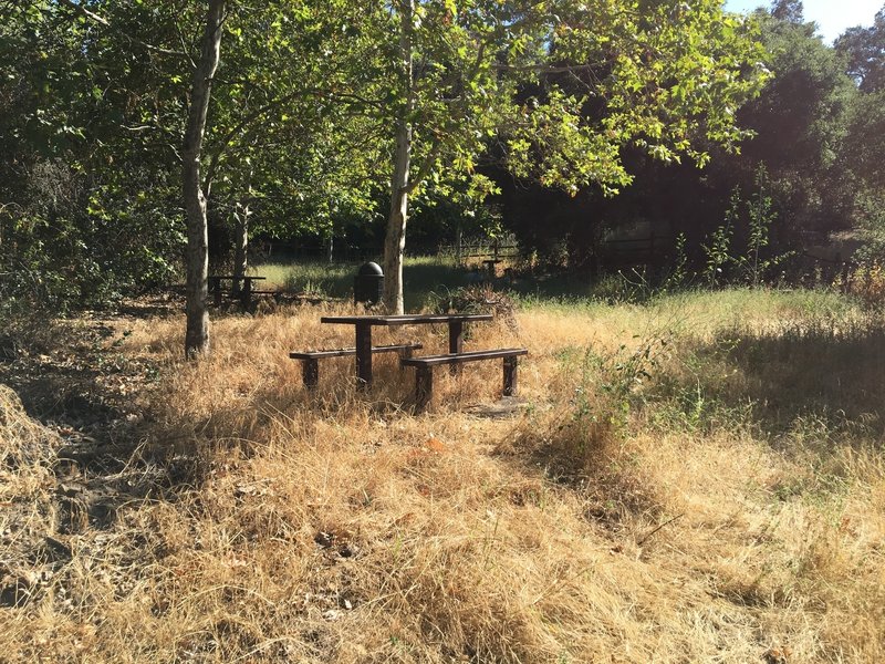 Deer Canyon picnic area.