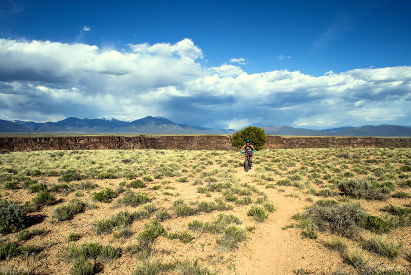 Along the West Rim Trail there's lots of side trails that lead to awesome views of the Rio Grande Gorge and Taos Range, and a few of the sparse trees to cool down in the shade on a hot day