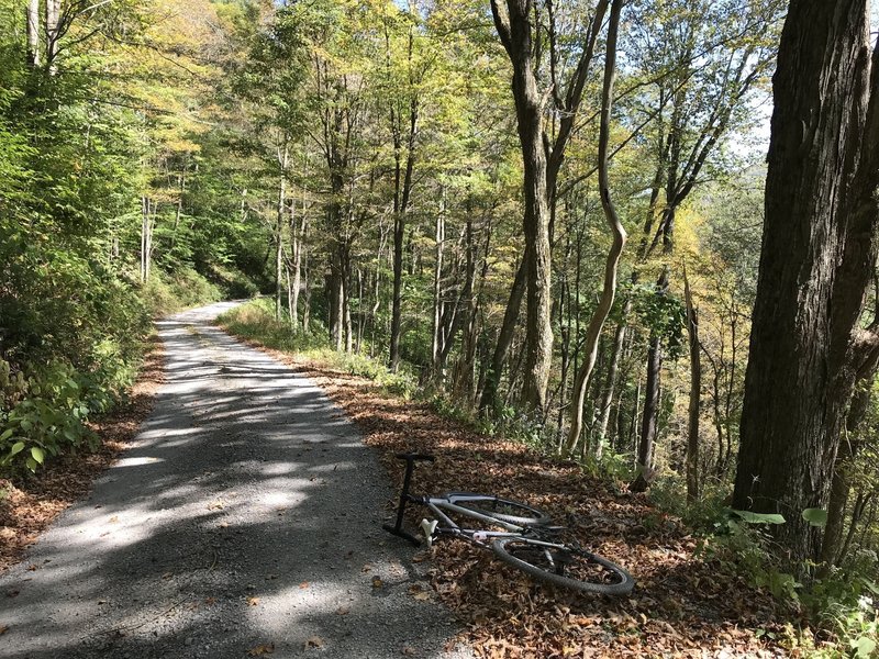 Fall leaves on the long climb up Canaan Loop road