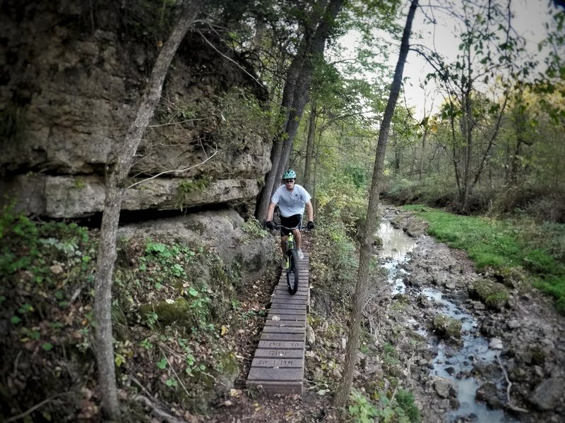 Fun bridge and cool scenery at the bottom of snake