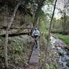 Fun bridge and cool scenery at the bottom of snake