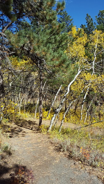 Switchback on path between elementary school and Sundance Circle