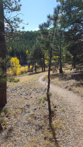 The very end of the Sherwood Gulch singletrack.