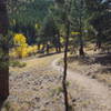 The very end of the Sherwood Gulch singletrack.